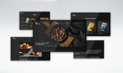 Almanca web sitesi tasarımları ve Almanca web sitesi hazırlama rehberi!